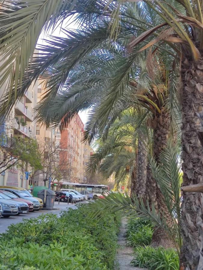 Casa De Mila Διαμέρισμα Αλικάντε Εξωτερικό φωτογραφία